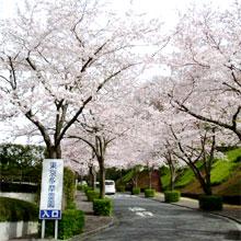 東京多摩霊園